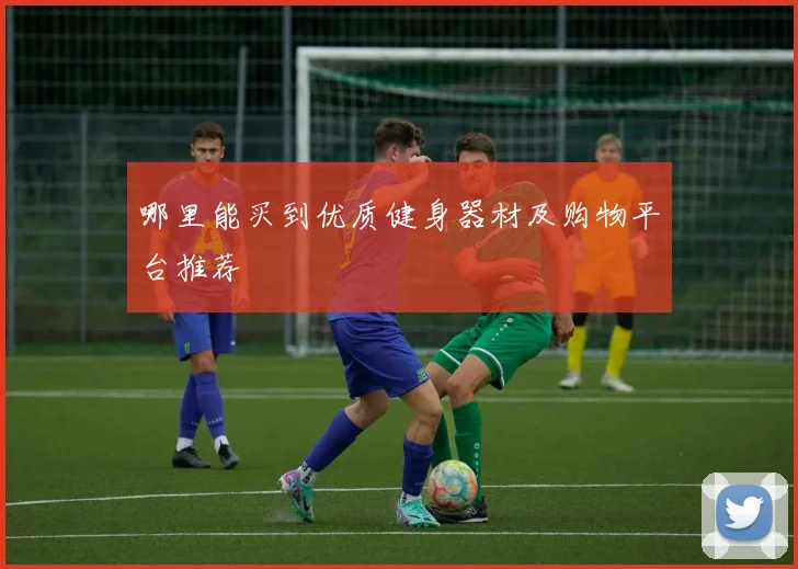 哪里能买到优质健身器材及购物平台推荐