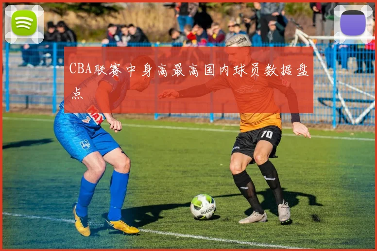 CBA联赛中身高最高国内球员数据盘点