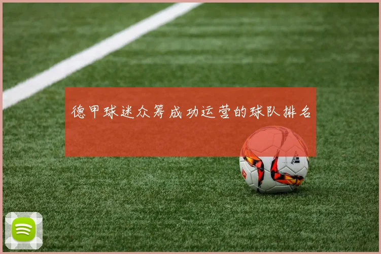 德甲球迷众筹成功运营的球队排名