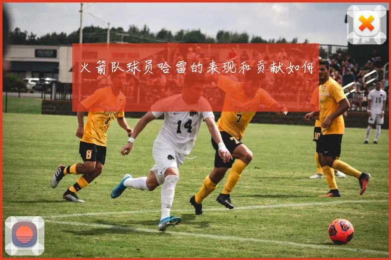 火箭队球员哈雷的表现和贡献如何