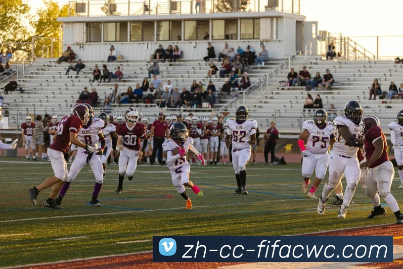 2017年火箭队球员年薪数据统计与比较